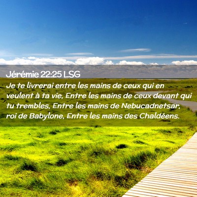 Picture 02 - Jérémie 22:25 LSG - Je te livrerai entre les mains de ceux qui en - Bible Verse Picture