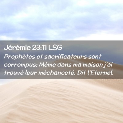 Picture 02 - Jérémie 23:11 LSG - Prophètes et sacrificateurs sont corrompus; - Bible Verse Picture