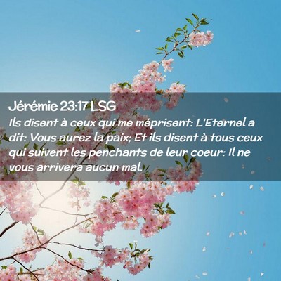 Picture 02 - Jérémie 23:17 LSG - Ils disent à ceux qui me méprisent: L'Eternel a - Bible Verse Picture