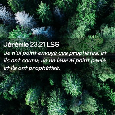 Picture 02 - Jérémie 23:21 LSG - Je n'ai point envoyé ces prophètes, et ils ont - Bible Verse Picture