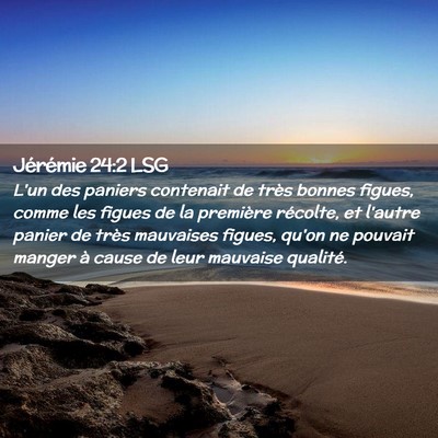 Picture 02 - Jérémie 24:2 LSG - L'un des paniers contenait de très bonnes - Bible Verse Picture