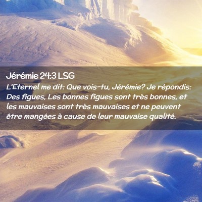 Picture 02 - Jérémie 24:3 LSG - L'Eternel me dit: Que vois-tu, Jérémie? Je - Bible Verse Picture