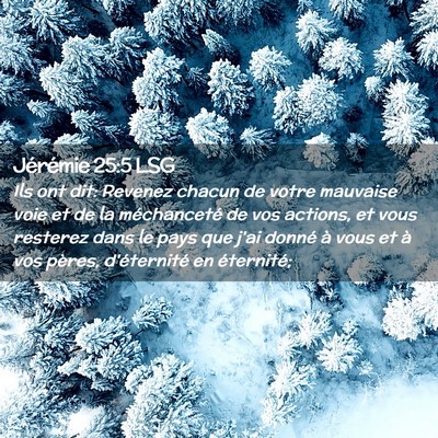 Picture 02 - Jérémie 25:5 LSG - Ils ont dit: Revenez chacun de votre mauvaise - Bible Verse Picture
