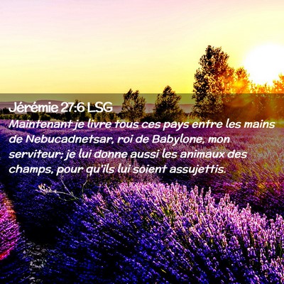 Picture 02 - Jérémie 27:6 LSG - Maintenant je livre tous ces pays entre les mains - Bible Verse Picture