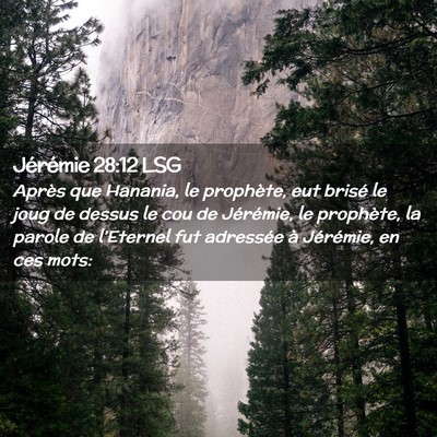 Picture 02 - Jérémie 28:12 LSG - Après que Hanania, le prophète, eut brisé le - Bible Verse Picture