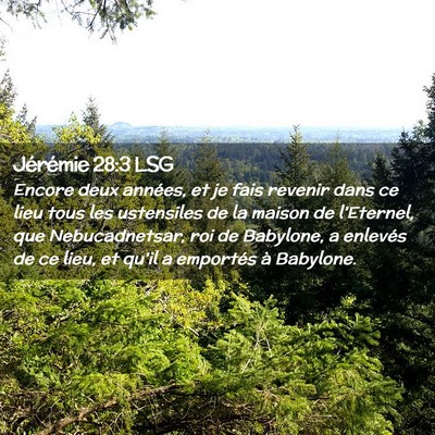 Picture 02 - Jérémie 28:3 LSG - Encore deux années, et je fais revenir dans ce - Bible Verse Picture