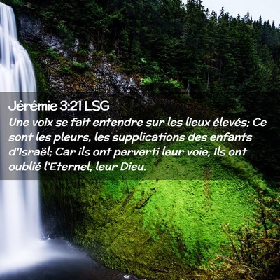 Picture 02 - Jérémie 3:21 LSG - Une voix se fait entendre sur les lieux élevés; - Bible Verse Picture