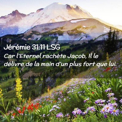 Picture 02 - Jérémie 31:11 LSG - Car l'Eternel rachète Jacob, Il le délivre de - Bible Verse Picture