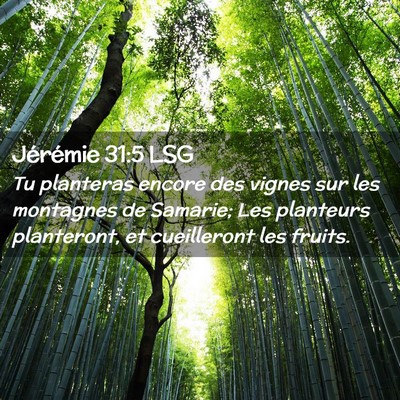 Picture 02 - Jérémie 31:5 LSG - Tu planteras encore des vignes sur les montagnes - Bible Verse Picture