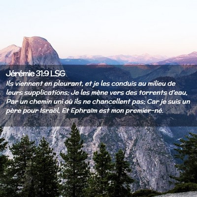 Picture 02 - Jérémie 31:9 LSG - Ils viennent en pleurant, et je les conduis au - Bible Verse Picture