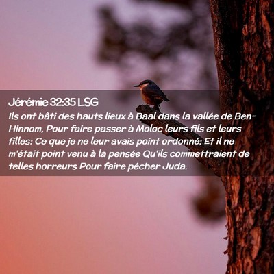 Picture 02 - Jérémie 32:35 LSG - Ils ont bâti des hauts lieux à Baal dans la - Bible Verse Picture