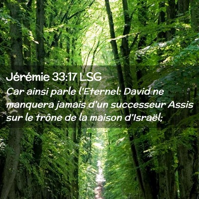 Picture 02 - Jérémie 33:17 LSG - Car ainsi parle l'Eternel: David ne manquera - Bible Verse Picture