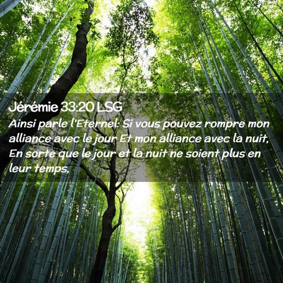 Picture 02 - Jérémie 33:20 LSG - Ainsi parle l'Eternel: Si vous pouvez rompre mon - Bible Verse Picture