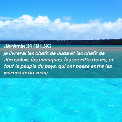 Picture 02 - Jérémie 34:19 LSG - je livrerai les chefs de Juda et les chefs de - Bible Verse Picture
