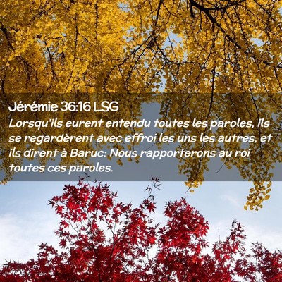 Picture 02 - Jérémie 36:16 LSG - Lorsqu'ils eurent entendu toutes les paroles, ils - Bible Verse Picture
