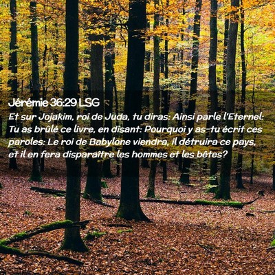 Picture 02 - Jérémie 36:29 LSG - Et sur Jojakim, roi de Juda, tu diras: Ainsi - Bible Verse Picture
