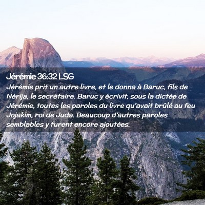 Picture 02 - Jérémie 36:32 LSG - Jérémie prit un autre livre, et le donna à - Bible Verse Picture