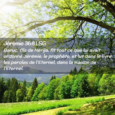Picture 02 - Jérémie 36:8 LSG - Baruc, fils de Nérija, fit tout ce que lui avait - Bible Verse Picture