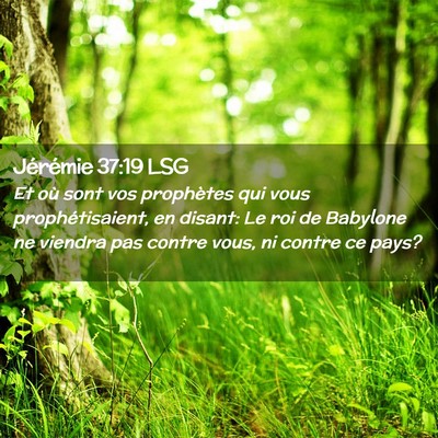 Picture 02 - Jérémie 37:19 LSG - Et où sont vos prophètes qui vous - Bible Verse Picture