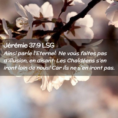 Picture 02 - Jérémie 37:9 LSG - Ainsi parle l'Eternel: Ne vous faites pas - Bible Verse Picture