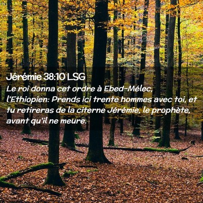 Picture 02 - Jérémie 38:10 LSG - Le roi donna cet ordre à Ebed-Mélec, - Bible Verse Picture