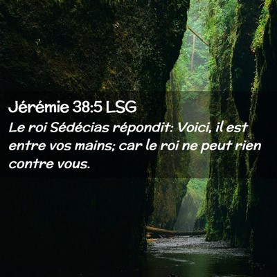 Picture 02 - Jérémie 38:5 LSG - Le roi Sédécias répondit: Voici, il est entre - Bible Verse Picture