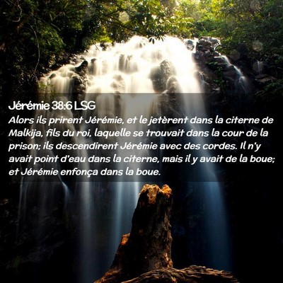 Picture 02 - Jérémie 38:6 LSG - Alors ils prirent Jérémie, et le jetèrent dans - Bible Verse Picture