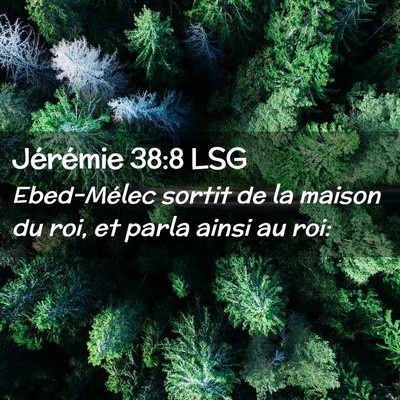 Picture 02 - Jérémie 38:8 LSG - Ebed-Mélec sortit de la maison du roi, et parla - Bible Verse Picture