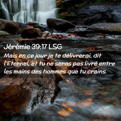 Picture 02 - Jérémie 39:17 LSG - Mais en ce jour je te délivrerai, dit l'Eternel, - Bible Verse Picture