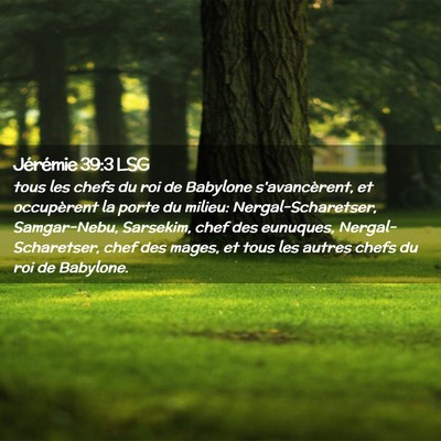 Picture 02 - Jérémie 39:3 LSG - tous les chefs du roi de Babylone s'avancèrent, - Bible Verse Picture