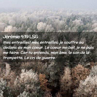 Picture 02 - Jérémie 4:19 LSG - Mes entrailles! mes entrailles: je souffre au - Bible Verse Picture