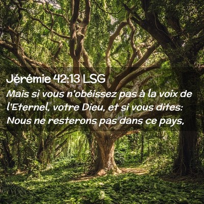 Picture 02 - Jérémie 42:13 LSG - Mais si vous n'obéissez pas à la voix de - Bible Verse Picture