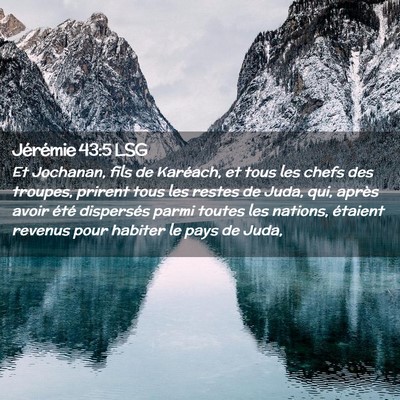 Picture 02 - Jérémie 43:5 LSG - Et Jochanan, fils de Karéach, et tous les chefs - Bible Verse Picture