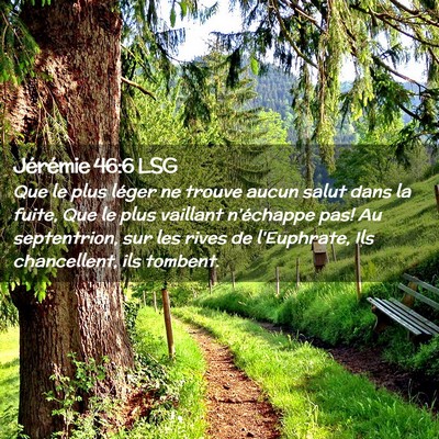 Picture 02 - Jérémie 46:6 LSG - Que le plus léger ne trouve aucun salut dans la - Bible Verse Picture