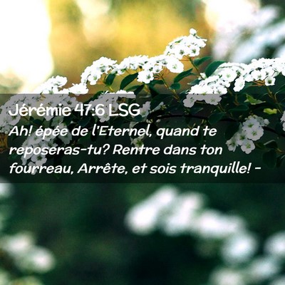 Picture 02 - Jérémie 47:6 LSG - Ah! épée de l'Eternel, quand te reposeras-tu? - Bible Verse Picture