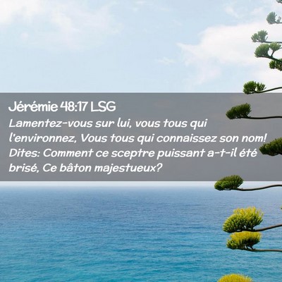 Picture 02 - Jérémie 48:17 LSG - Lamentez-vous sur lui, vous tous qui - Bible Verse Picture