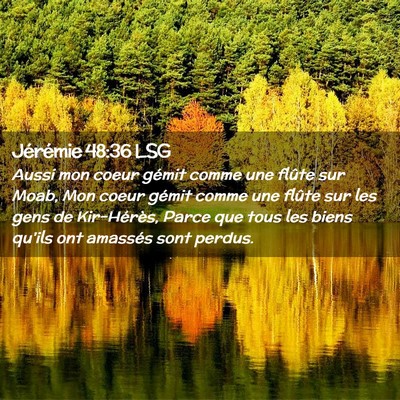 Picture 02 - Jérémie 48:36 LSG - Aussi mon coeur gémit comme une flûte sur Moab, - Bible Verse Picture