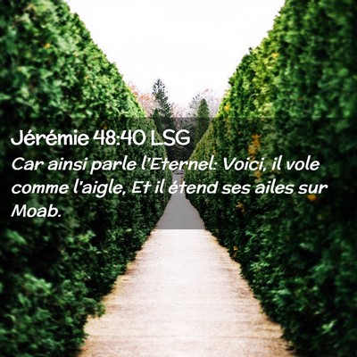 Picture 02 - Jérémie 48:40 LSG - Car ainsi parle l'Eternel: Voici, il vole comme - Bible Verse Picture