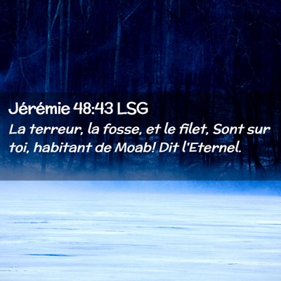 Picture 02 - Jérémie 48:43 LSG - La terreur, la fosse, et le filet, Sont sur toi, - Bible Verse Picture