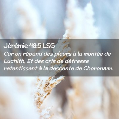 Picture 02 - Jérémie 48:5 LSG - Car on répand des pleurs à la montée de - Bible Verse Picture