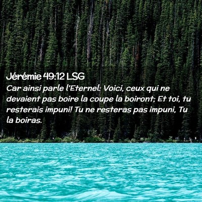 Picture 02 - Jérémie 49:12 LSG - Car ainsi parle l'Eternel: Voici, ceux qui ne - Bible Verse Picture