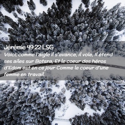 Picture 02 - Jérémie 49:22 LSG - Voici, comme l'aigle il s'avance, il vole, Il - Bible Verse Picture