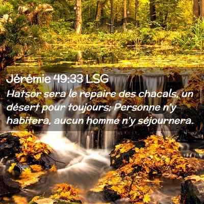 Picture 02 - Jérémie 49:33 LSG - Hatsor sera le repaire des chacals, un désert - Bible Verse Picture