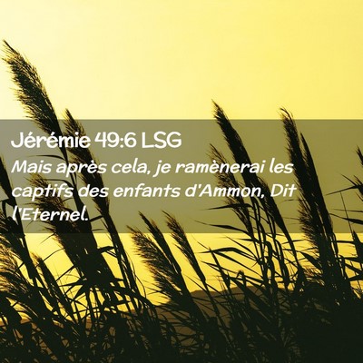Picture 02 - Jérémie 49:6 LSG - Mais après cela, je ramènerai les captifs des - Bible Verse Picture