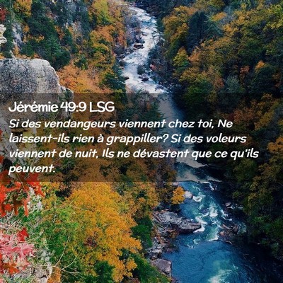 Picture 02 - Jérémie 49:9 LSG - Si des vendangeurs viennent chez toi, Ne - Bible Verse Picture