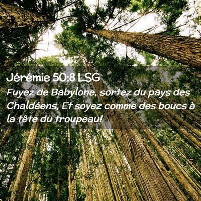 Picture 02 - Jérémie 50:8 LSG - Fuyez de Babylone, sortez du pays des Chaldéens, - Bible Verse Picture