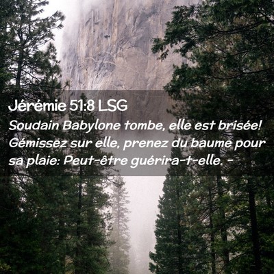 Picture 02 - Jérémie 51:8 LSG - Soudain Babylone tombe, elle est brisée! - Bible Verse Picture