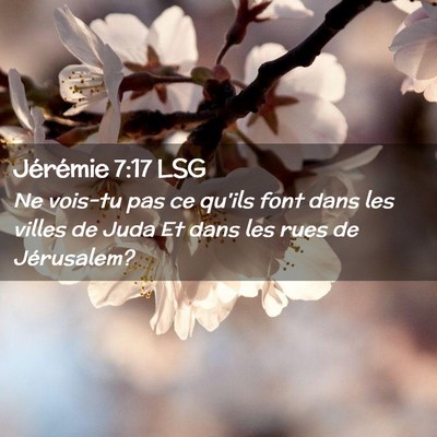 Picture 02 - Jérémie 7:17 LSG - Ne vois-tu pas ce qu'ils font dans les villes de - Bible Verse Picture