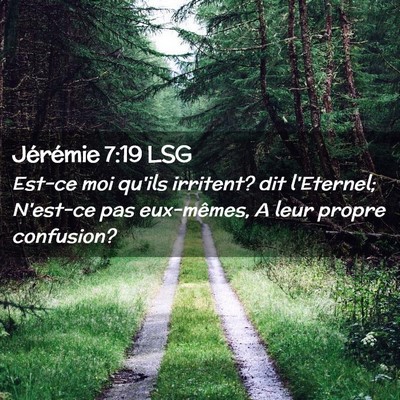 Picture 02 - Jérémie 7:19 LSG - Est-ce moi qu'ils irritent? dit l'Eternel; - Bible Verse Picture
