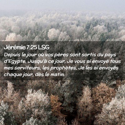 Picture 02 - Jérémie 7:25 LSG - Depuis le jour où vos pères sont sortis du pays - Bible Verse Picture